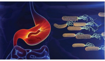 Natural Support For Stomach Health